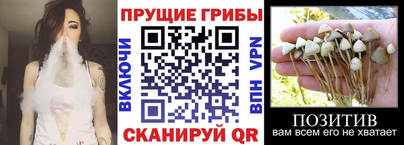 что такое наркотик  Ярославль  Псилоцибиновые грибы Magic Shrooms 